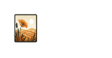 Central Coast Web Design logo with a golden poppy and sand dunes